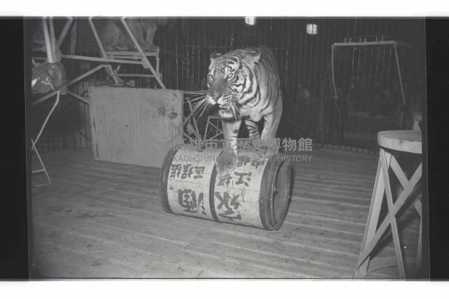 登錄號:KH2002.017.0161藏品圖，第60張