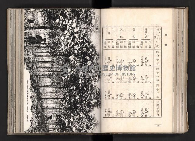 登錄號:KH2003.008.0167藏品圖，第60張