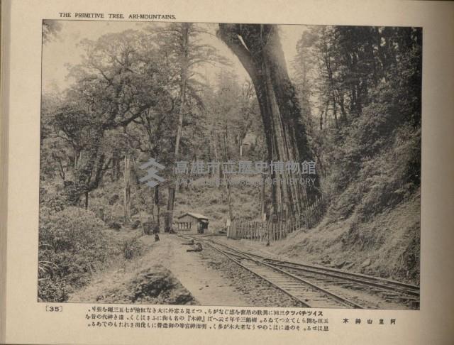 《臺灣的風光》寫真冊藏品圖，第40張