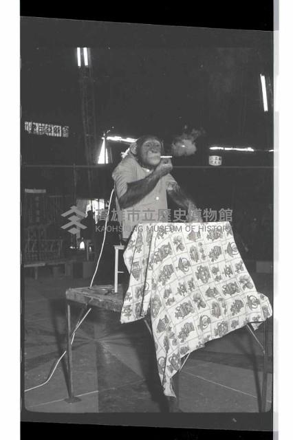 登錄號:KH2002.017.0161藏品圖，第70張