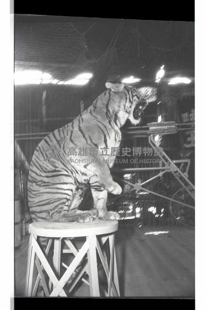 登錄號:KH2002.017.0161藏品圖，第50張