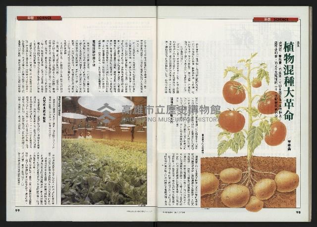 《時報新聞周刊NO.15》藏品圖，第50張