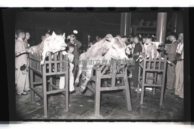 登錄號:KH2002.012.0302藏品圖，第50張