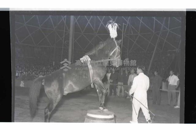 登錄號:KH2002.017.0011藏品圖，第10張