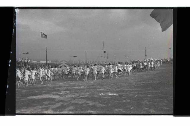 登錄號:KH2002.012.0764藏品圖，第10張