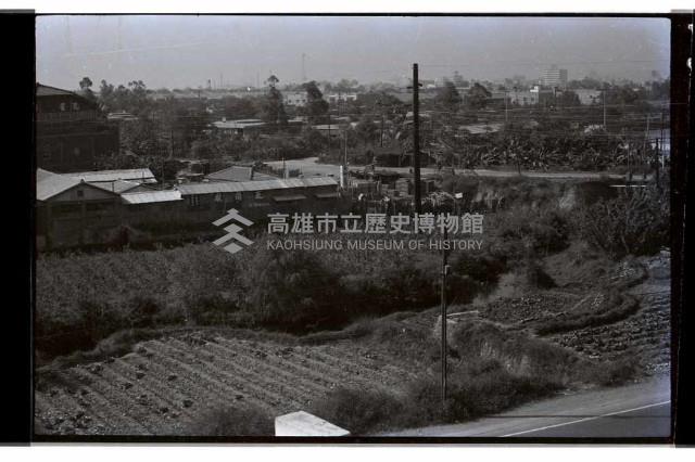 登錄號:KH2002.010.0164藏品圖，第10張