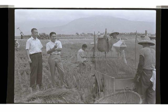 登錄號:KH2002.009.0254藏品圖，第10張