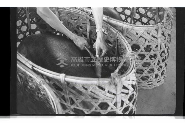 登錄號:KH2002.016.0074藏品圖，第10張