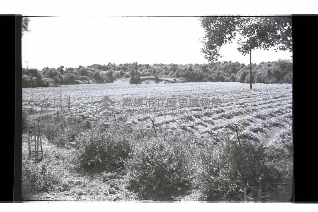 登錄號:KH2002.010.0102藏品圖，第10張