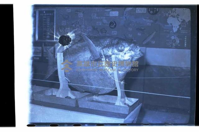 登錄號:KH2002.010.0057藏品圖，第10張