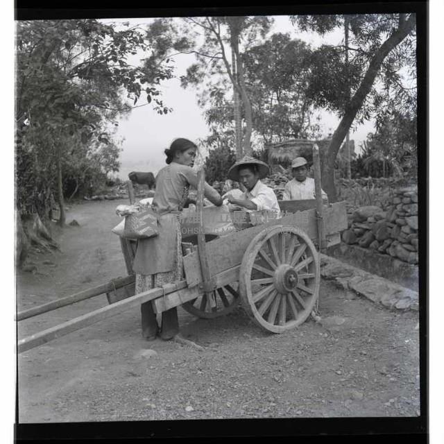 登錄號:KH2002.013.0047藏品圖，第10張