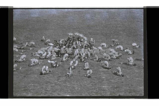 登錄號:KH2002.014.0145藏品圖，第10張