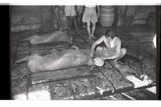 登錄號:KH2002.016.0075藏品圖，第10張