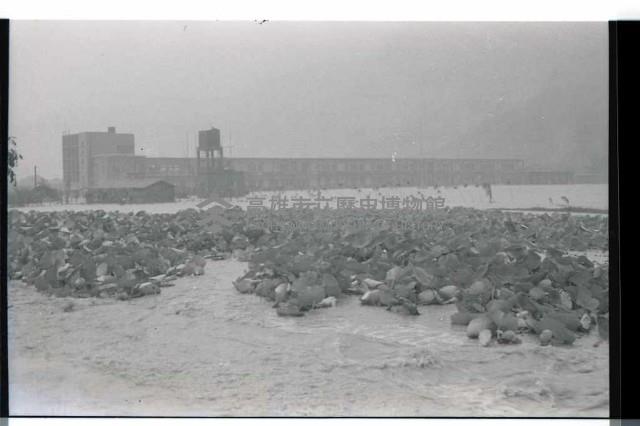 登錄號:KH2002.012.0363藏品圖，第10張