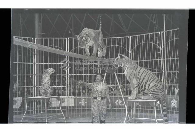 登錄號:KH2002.017.0013藏品圖，第10張