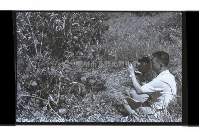 登錄號:KH2002.015.0293藏品圖，第10張