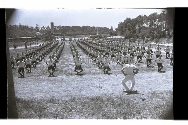 登錄號:KH2002.007.0320藏品圖，第100張