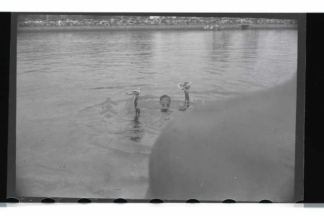 登錄號:KH2002.017.0028藏品圖，第30張