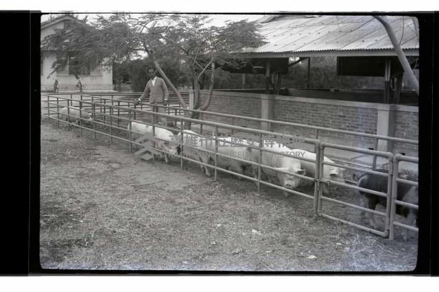 登錄號:KH2002.016.0074藏品圖，第30張