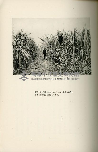 登錄號:KH2003.008.0178藏品圖，第222張