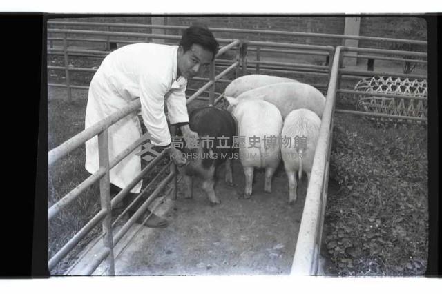 登錄號:KH2002.016.0074藏品圖，第21張