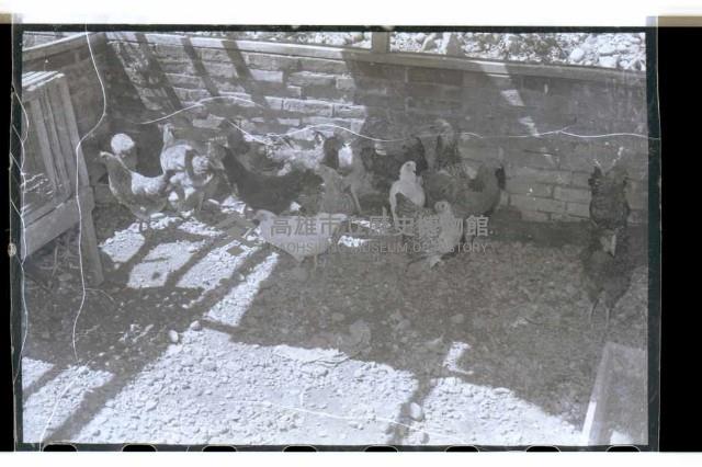 登錄號:KH2002.007.0152藏品圖，第21張