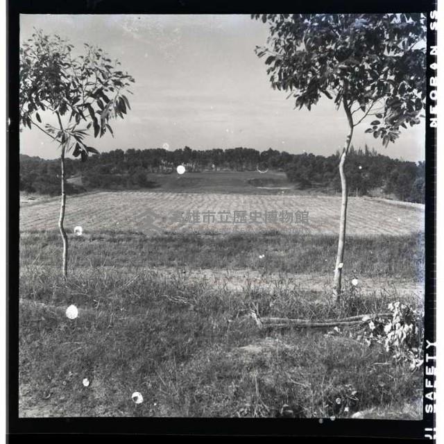 登錄號:KH2002.010.0072藏品圖，第21張