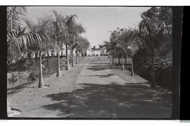 登錄號:KH2002.012.0409藏品圖，第21張