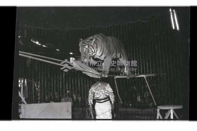 登錄號:KH2002.017.0161藏品圖，第61張