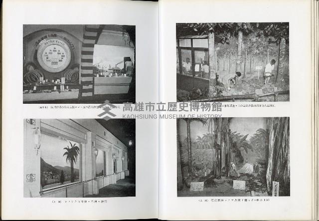 《始政四十周年紀念臺灣博覽會誌》藏品圖，第242張