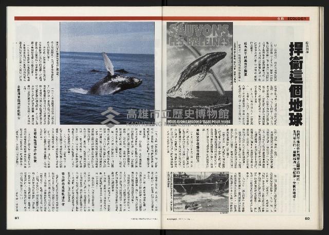 《時報新聞周刊NO.15》藏品圖，第41張