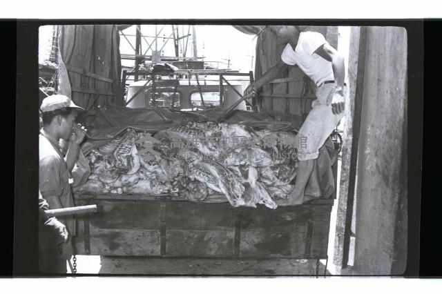 登錄號:KH2002.016.0075藏品圖，第41張