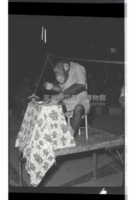 登錄號:KH2002.017.0161藏品圖，第71張