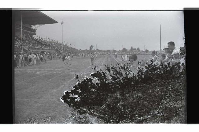 登錄號:KH2002.014.0116藏品圖，第51張