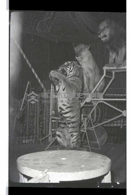 登錄號:KH2002.017.0161藏品圖，第51張