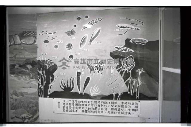 登錄號:KH2002.020.0008藏品圖，第11張