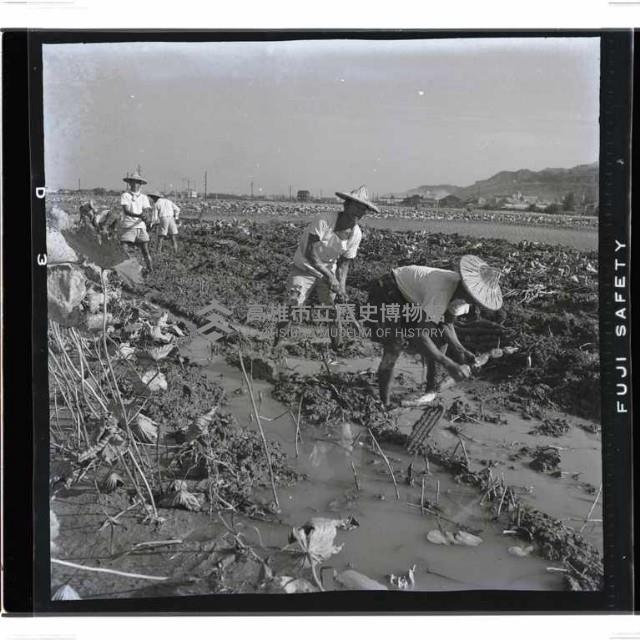 登錄號:KH2002.016.0058藏品圖，第11張