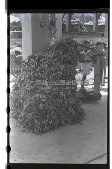 登錄號:KH2002.012.0070藏品圖，第11張