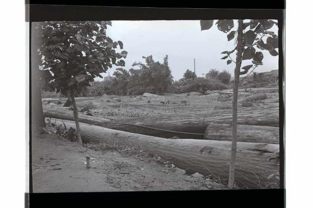 登錄號:KH2002.012.0554藏品圖，第11張