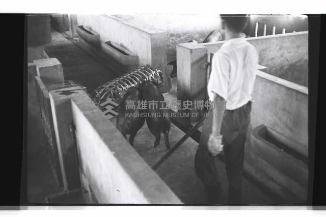 登錄號:KH2002.016.0074藏品圖，第11張