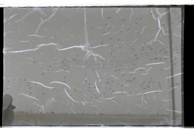 登錄號:KH2002.015.0052藏品圖，第11張