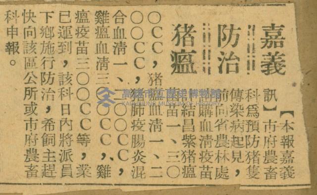 謝掙強任嘉義市長期間市政相關剪報集藏品圖，第253張