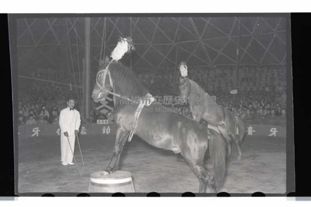 登錄號:KH2002.017.0015藏品圖，第11張