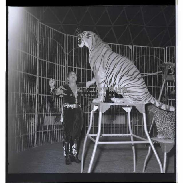 登錄號:KH2002.012.0053藏品圖，第11張