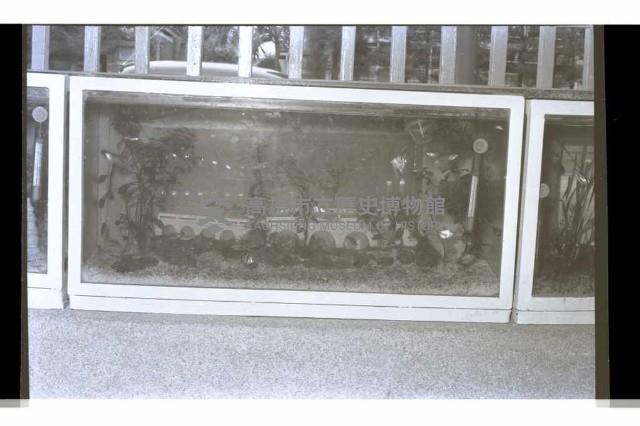 登錄號:KH2002.007.0233藏品圖，第11張