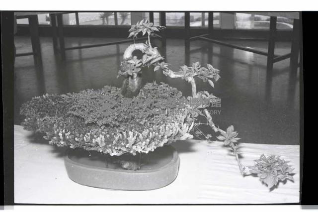 登錄號:KH2002.020.0006藏品圖，第1張