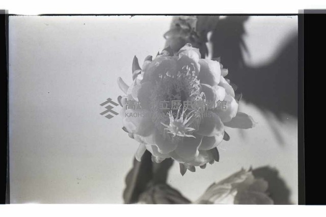 登錄號:KH2002.016.0056藏品圖，第1張