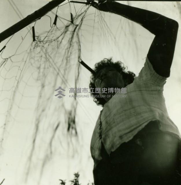 織網的阿媽-中洲-2藏品圖，第1張