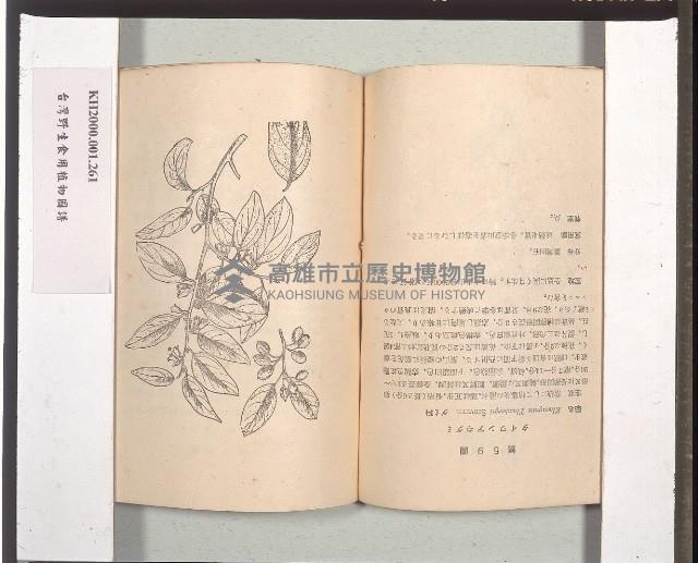 《台灣野生食用植物圖譜》藏品圖，第2張