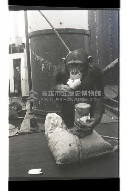 登錄號:KH2002.017.0161藏品圖，第1張